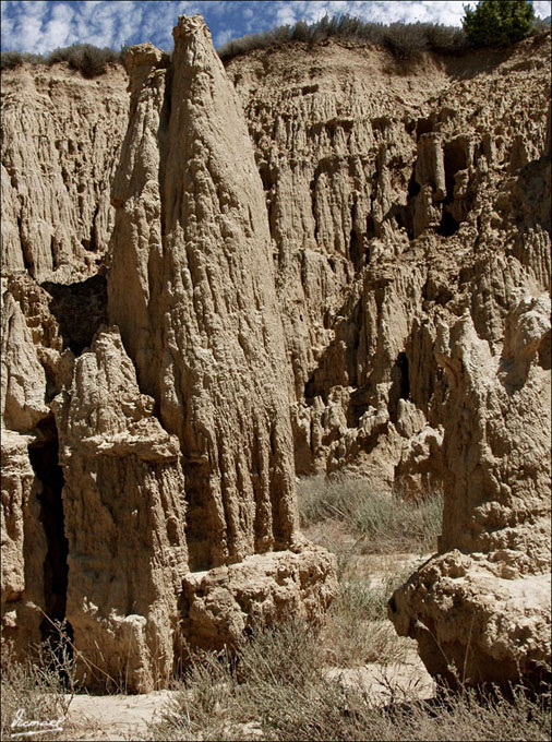 Foto de Valpalmas (Zaragoza), España