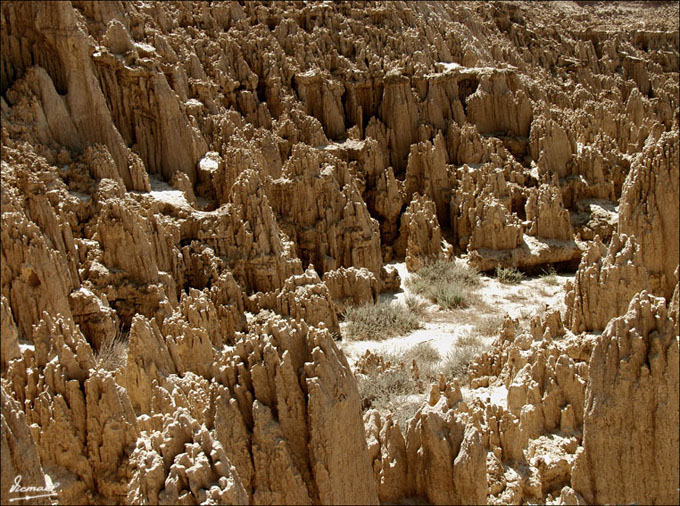 Foto de Valpalmas (Zaragoza), España