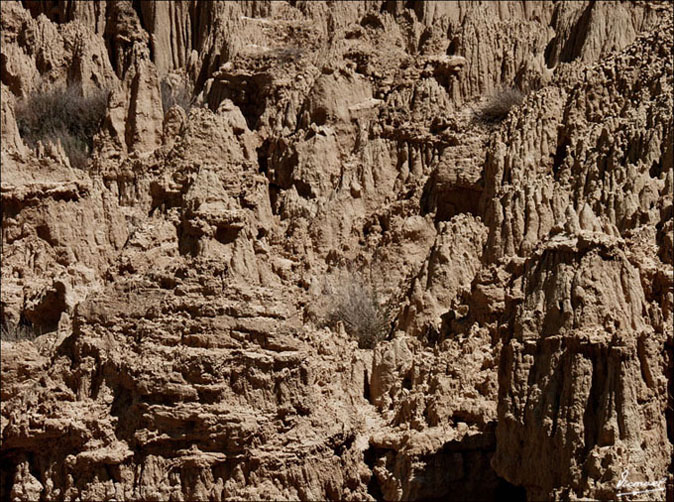 Foto de Valpalmas (Zaragoza), España