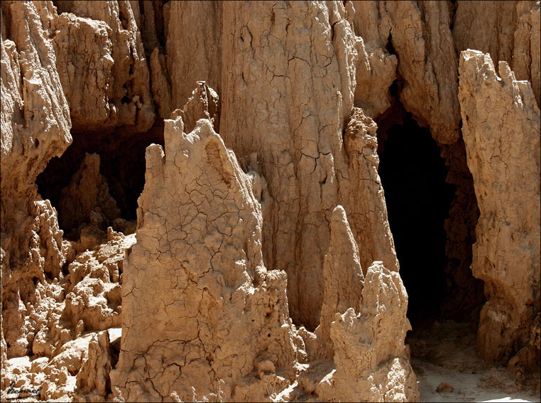 Foto de Valpalmas (Zaragoza), España