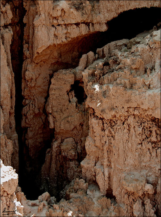 Foto de Valpalmas (Zaragoza), España