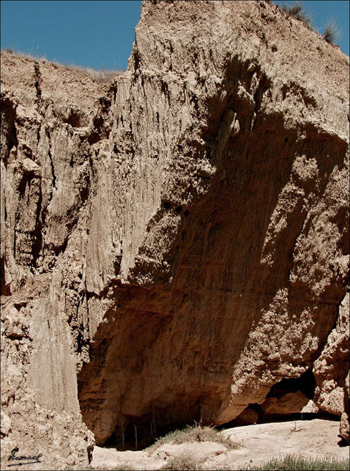 Foto de Valpalmas (Zaragoza), España