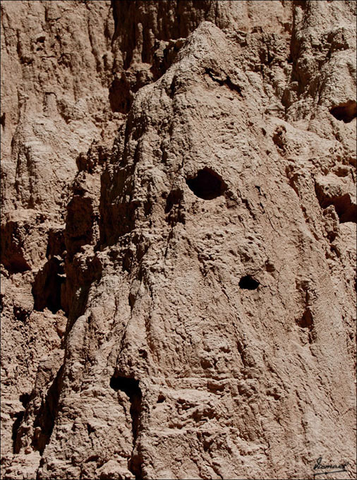 Foto de Valpalmas (Zaragoza), España