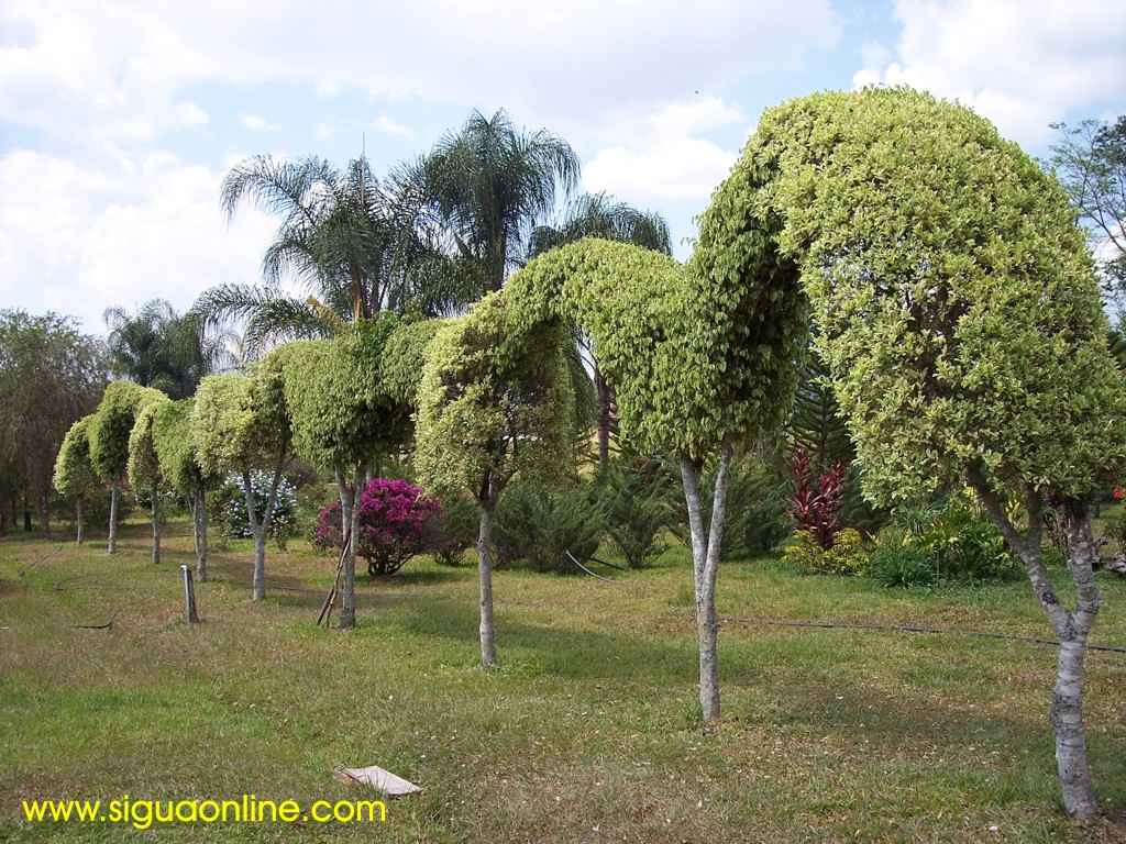 Foto de Siguatepeque, Honduras