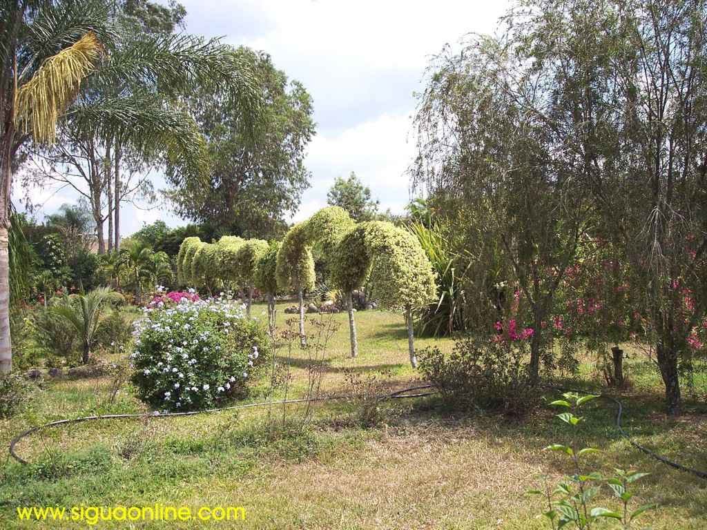 Foto de Siguatepeque, Honduras