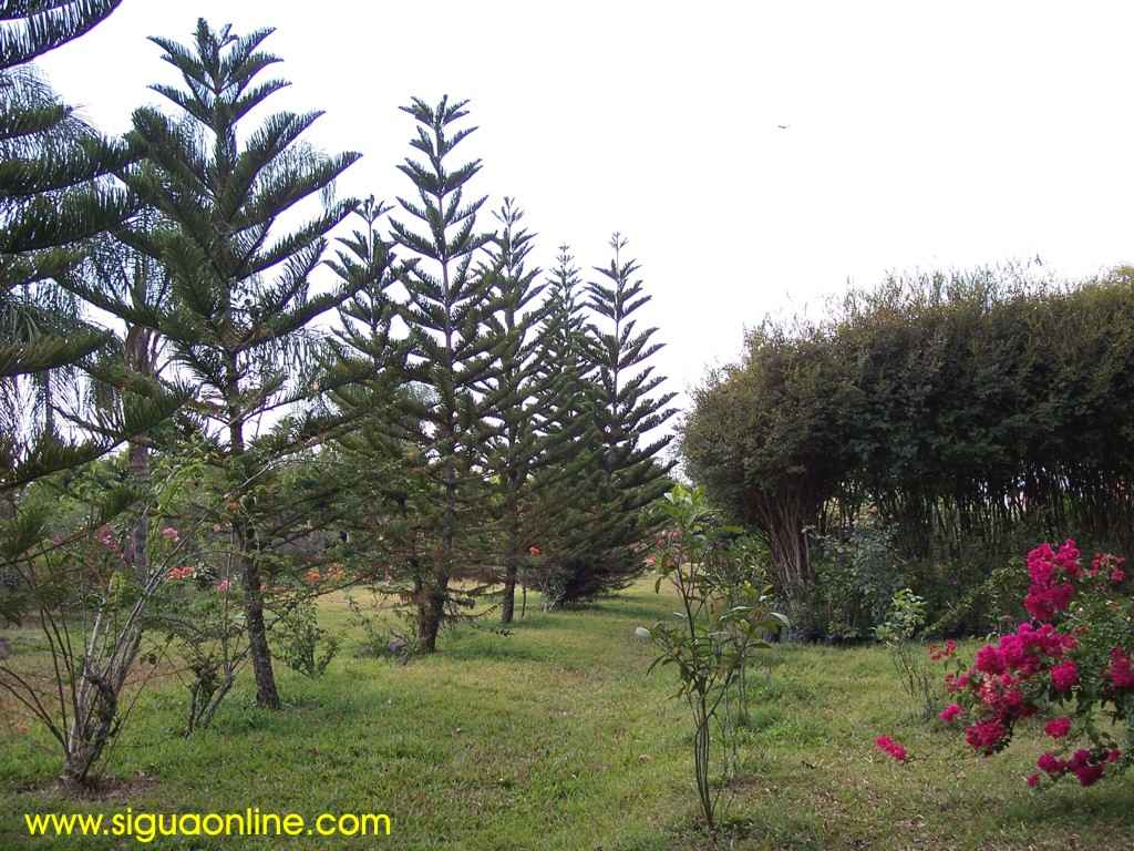 Foto de Siguatepeque, Honduras