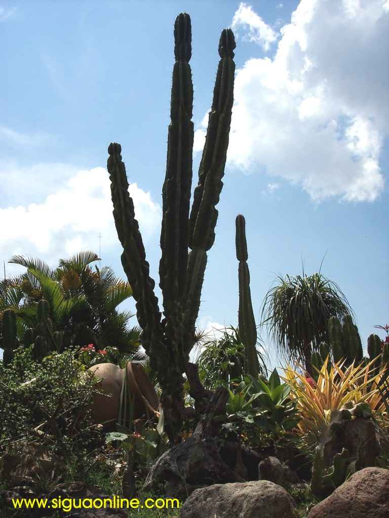 Foto de Siguatepeque, Honduras