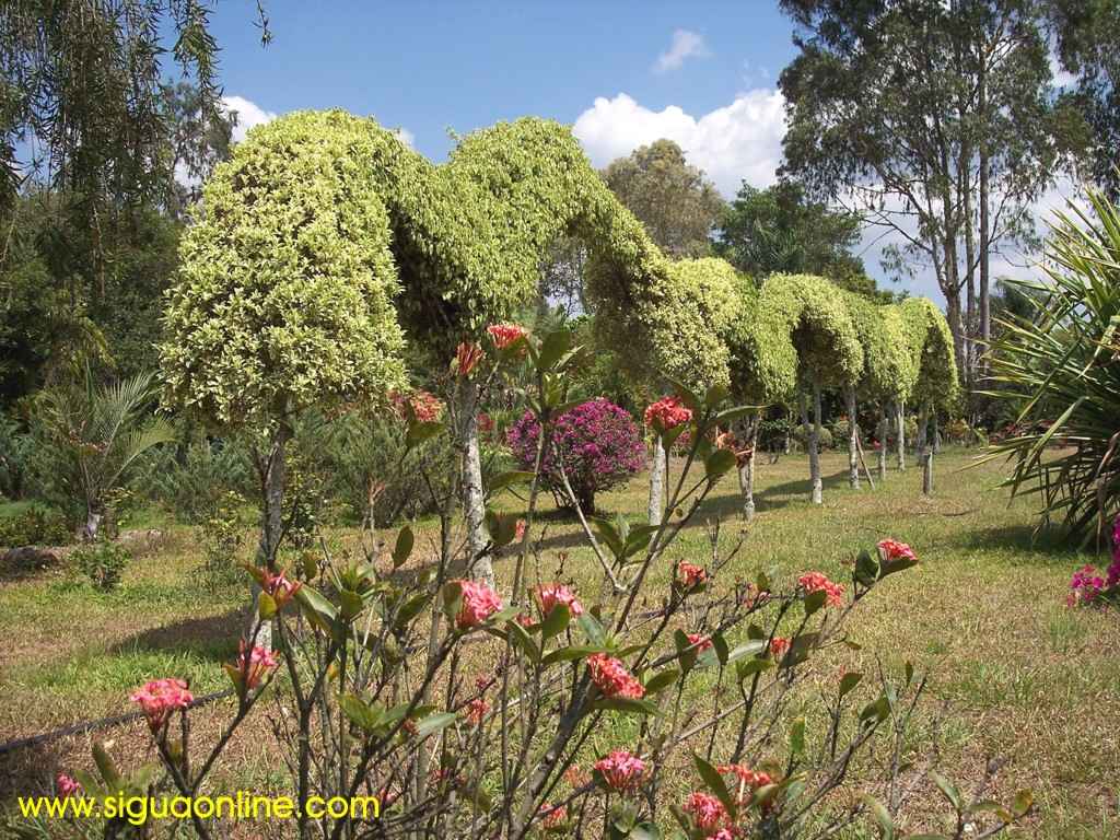 Foto de Siguatepeque, Honduras