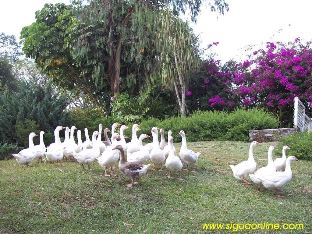 Foto de Siguatepeque, Honduras