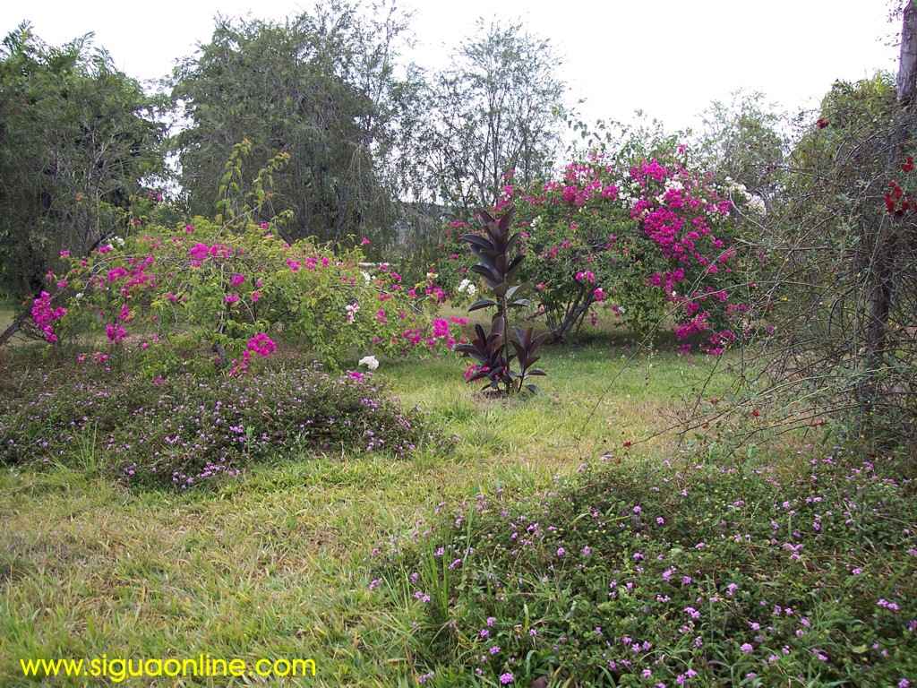 Foto de Siguatepeque, Honduras