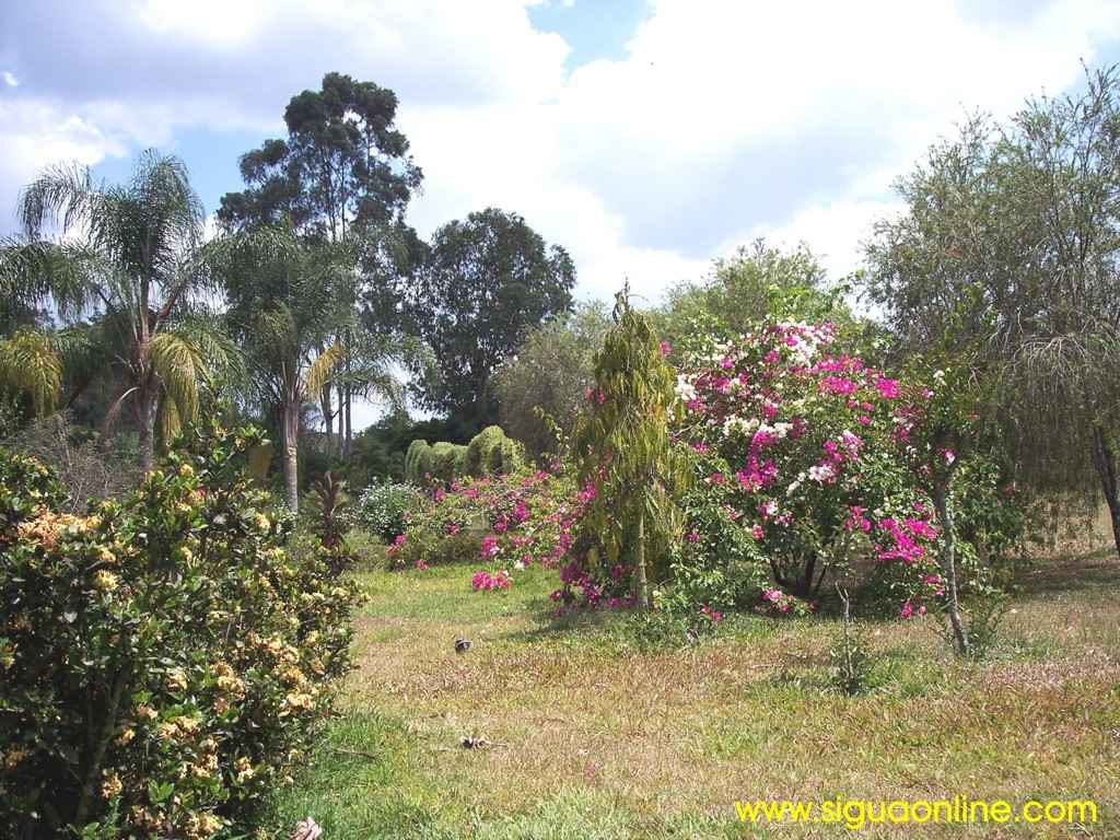 Foto de Siguatepeque, Honduras