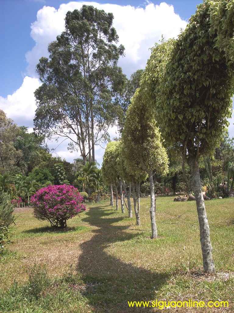 Foto de Siguatepeque, Honduras