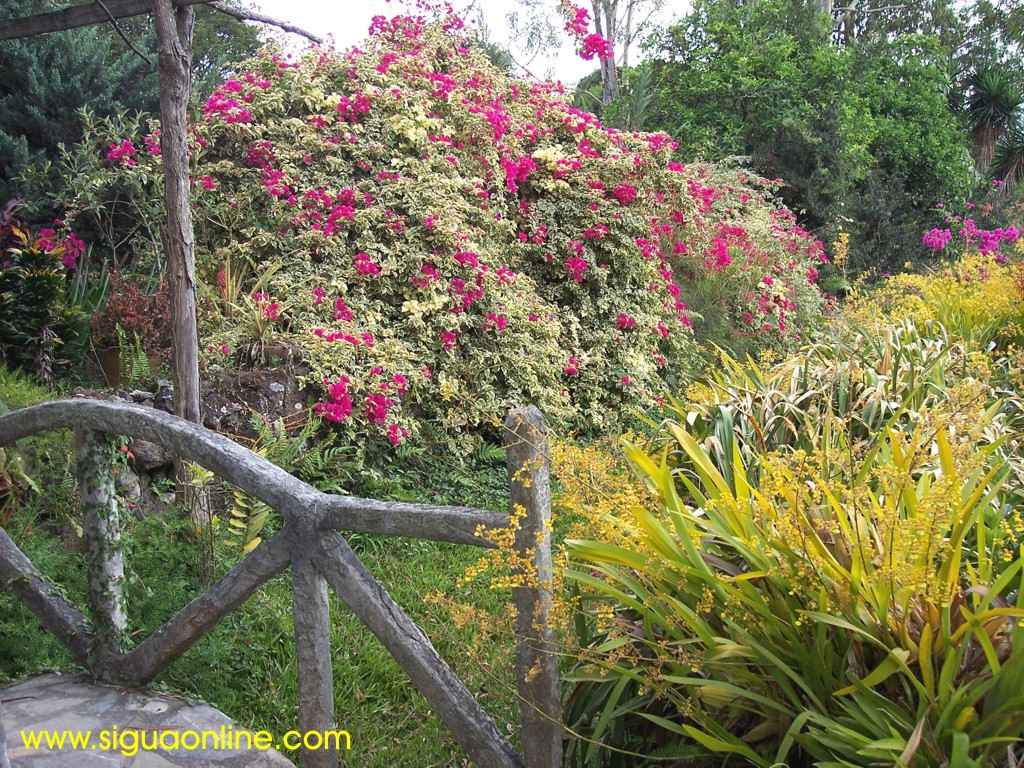 Foto de Siguatepeque, Honduras