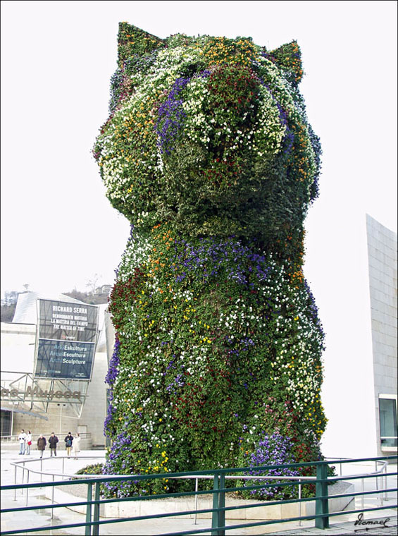 Foto de Bilbao (Vizcaya), España