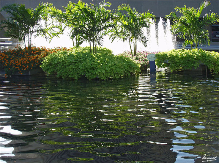 Foto de Toronto, Canadá
