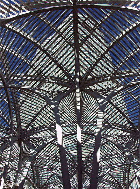 Foto de Toronto, Canadá