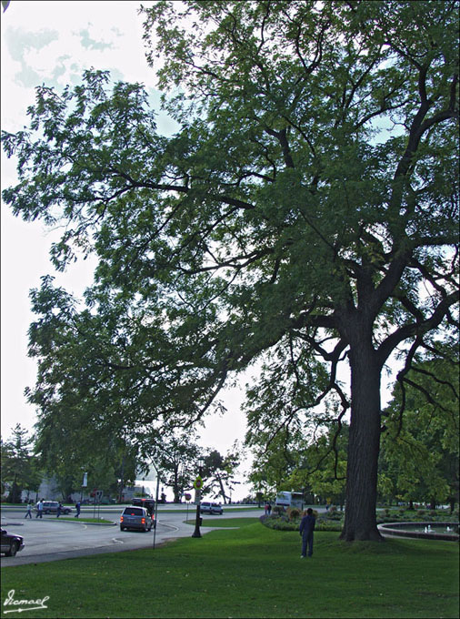 Foto de Niágara, Canadá