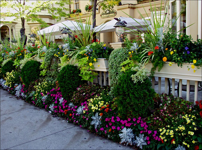 Foto de Niágara Lake, Canadá
