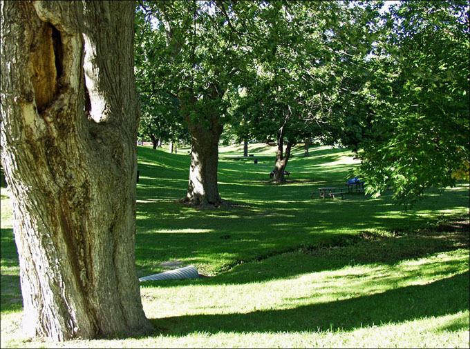 Foto de Niágara Lake, Canadá