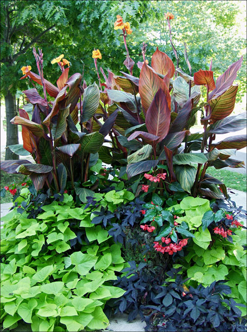 Foto de Niágara Lake, Canadá