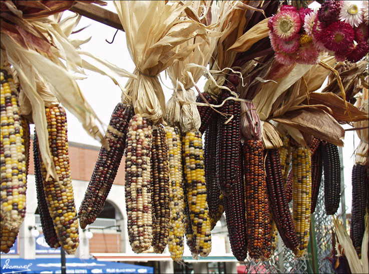 Foto de Ottawa, Canadá