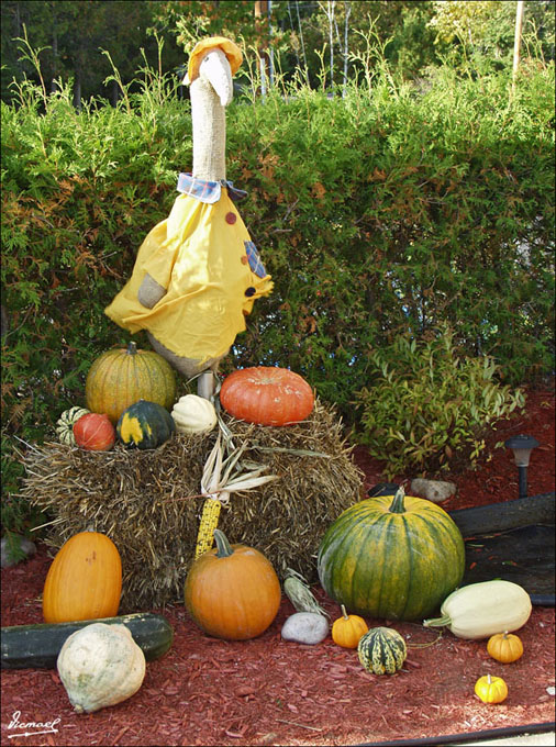 Foto de Charlevoix, Canadá