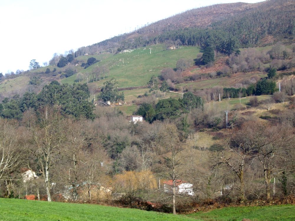 Foto de Lloreda de Cayon (Cantabria), España