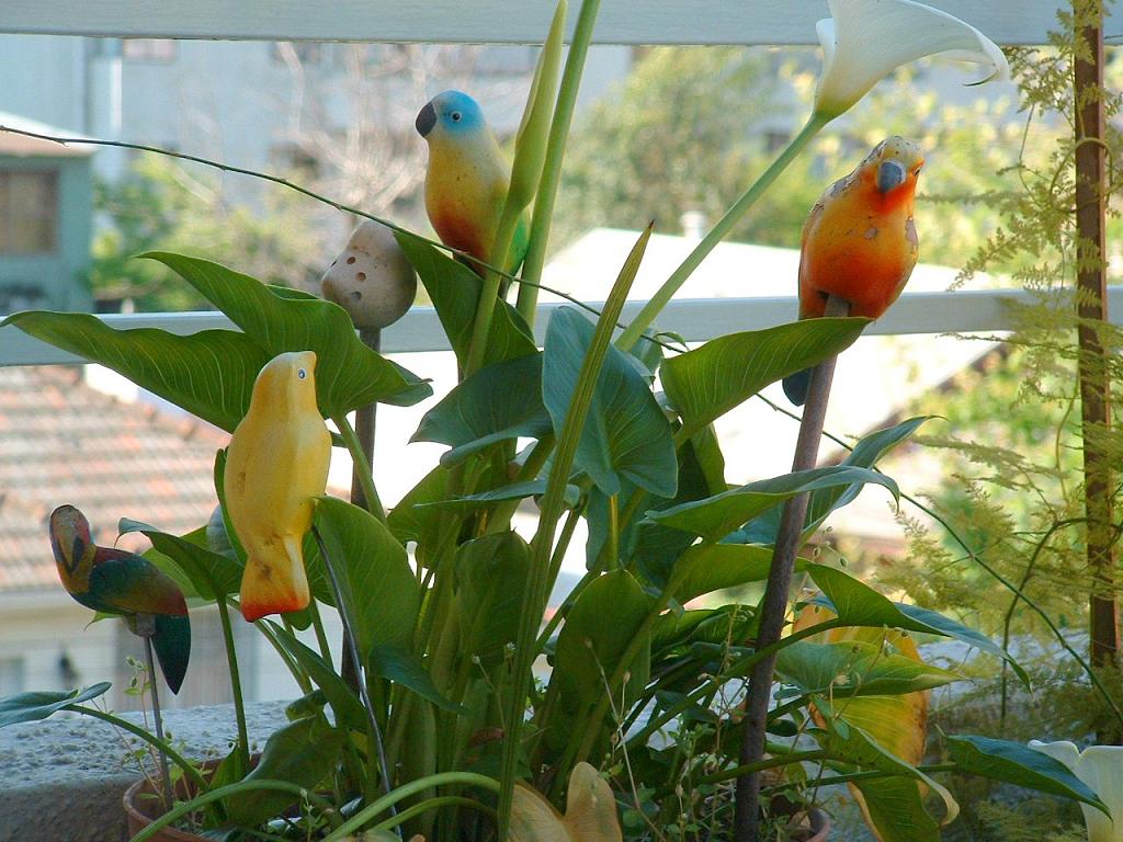 Foto de Santiago, Chile