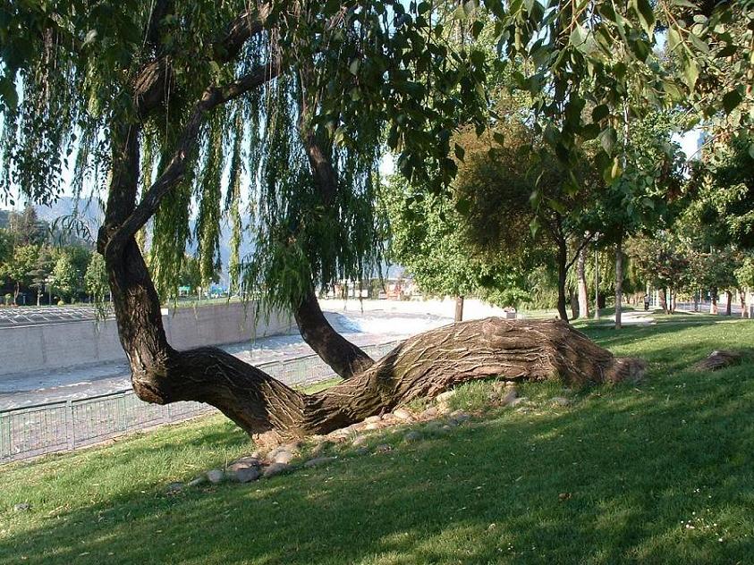 Foto de Santiago, Chile