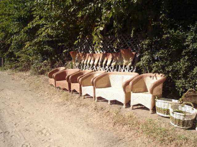 Foto de LIMACHE, Chile