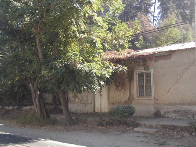 Foto de LIMACHE, Chile