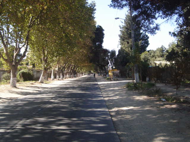 Foto de OLMUE, Chile