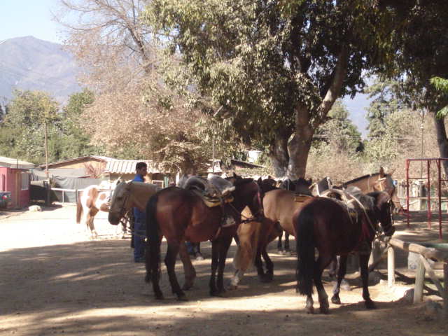 Foto de OLMUE, Chile
