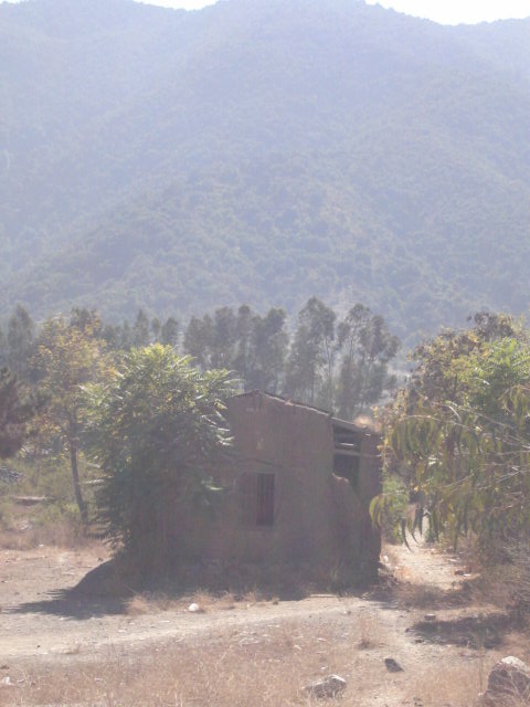 Foto de OLMUE, Chile