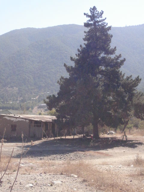 Foto de OLMUE, Chile