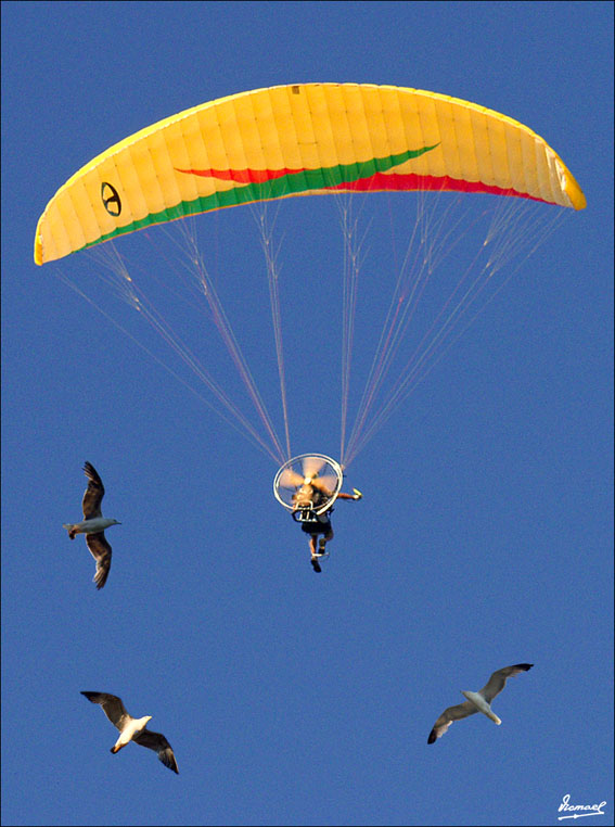 Foto de Blanes (Girona), España