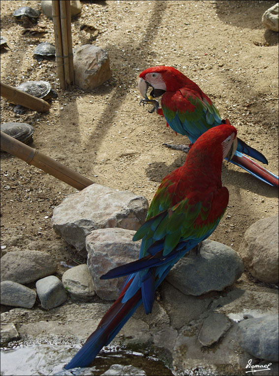 Foto de Vilassar (Barcelona), España