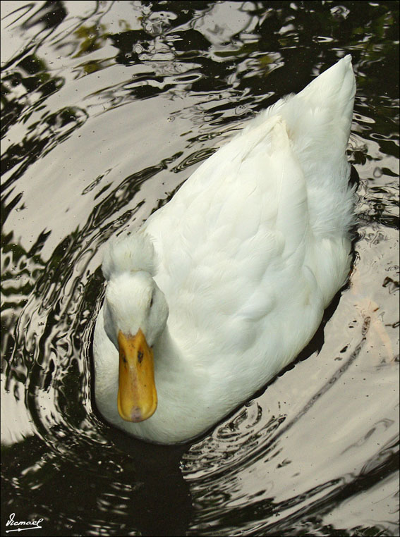 Foto de Vilassar (Barcelona), España