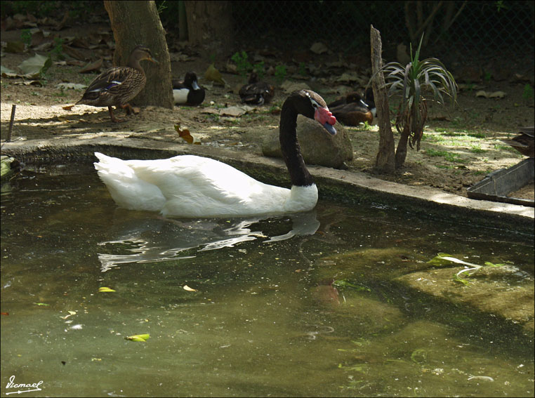 Foto de Vilassar (Barcelona), España