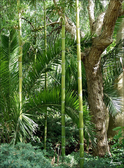 Foto de Vilassar (Barcelona), España
