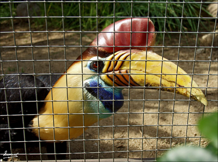 Foto de Vilassar (Barcelona), España