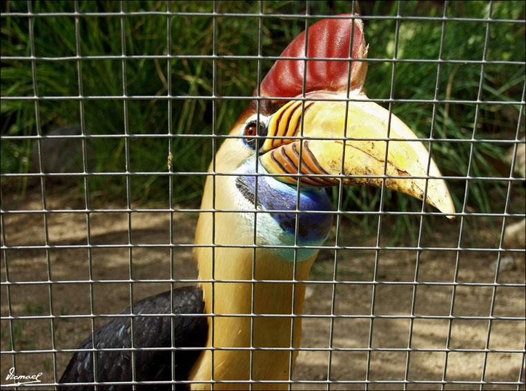 Foto de Vilassar (Barcelona), España