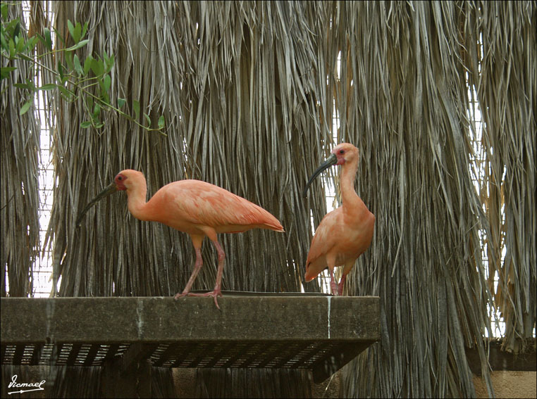 Foto de Vilassar (Barcelona), España