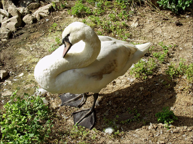 Foto de Vilassar (Barcelona), España