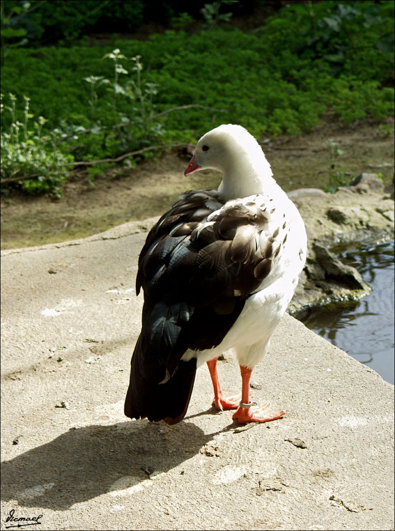Foto de Vilassar (Barcelona), España
