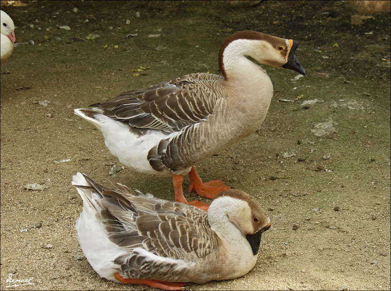 Foto de Vilassar (Barcelona), España
