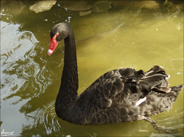 Foto de Vilassar (Barcelona), España