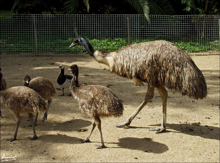 Foto de Vilassar (Barcelona), España