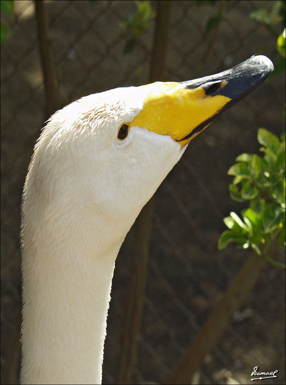 Foto de Vilassar (Barcelona), España