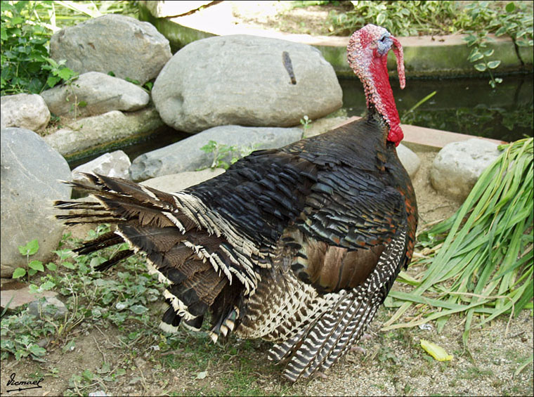 Foto de Vilassar (Barcelona), España